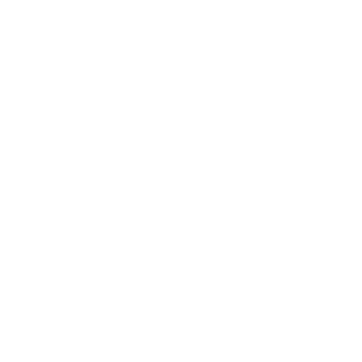 Steve Jobs