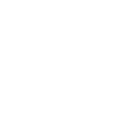 Pieter Levels